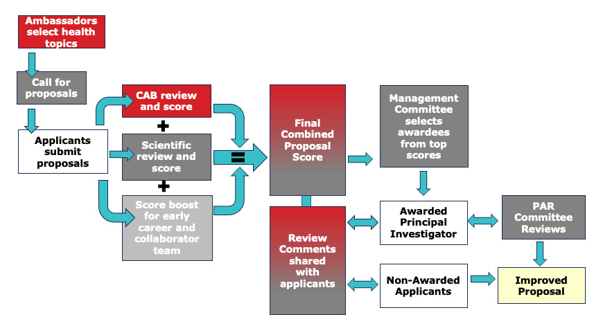 Pilot Process